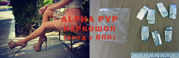 молекула духа Гусев