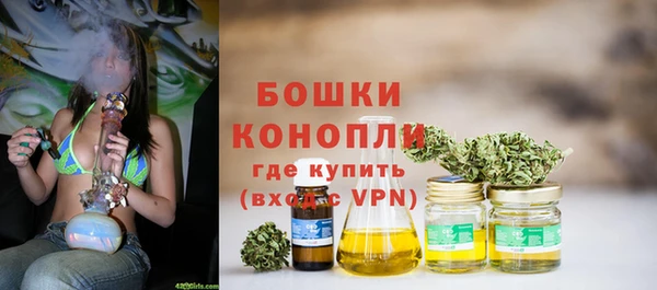 молекула духа Гусев