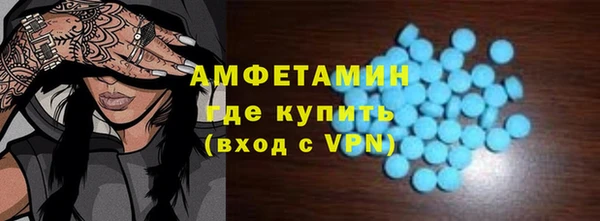 амф Гусь-Хрустальный