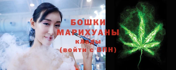 амф Гусь-Хрустальный