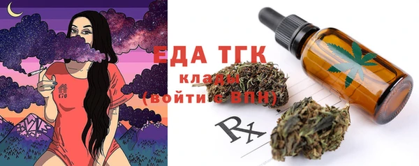 амф Гусь-Хрустальный