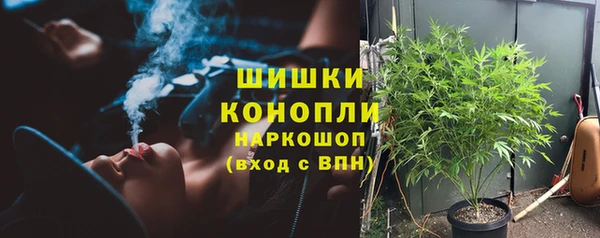 молекула духа Гусев