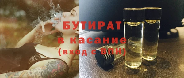 амф Гусь-Хрустальный