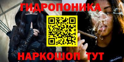 стаф Бугуруслан