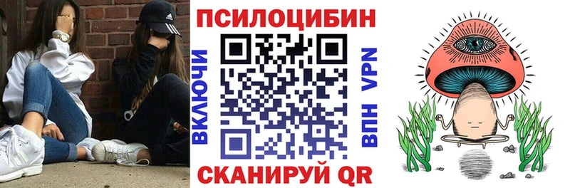 Псилоцибиновые грибы мицелий  наркота  Шали 