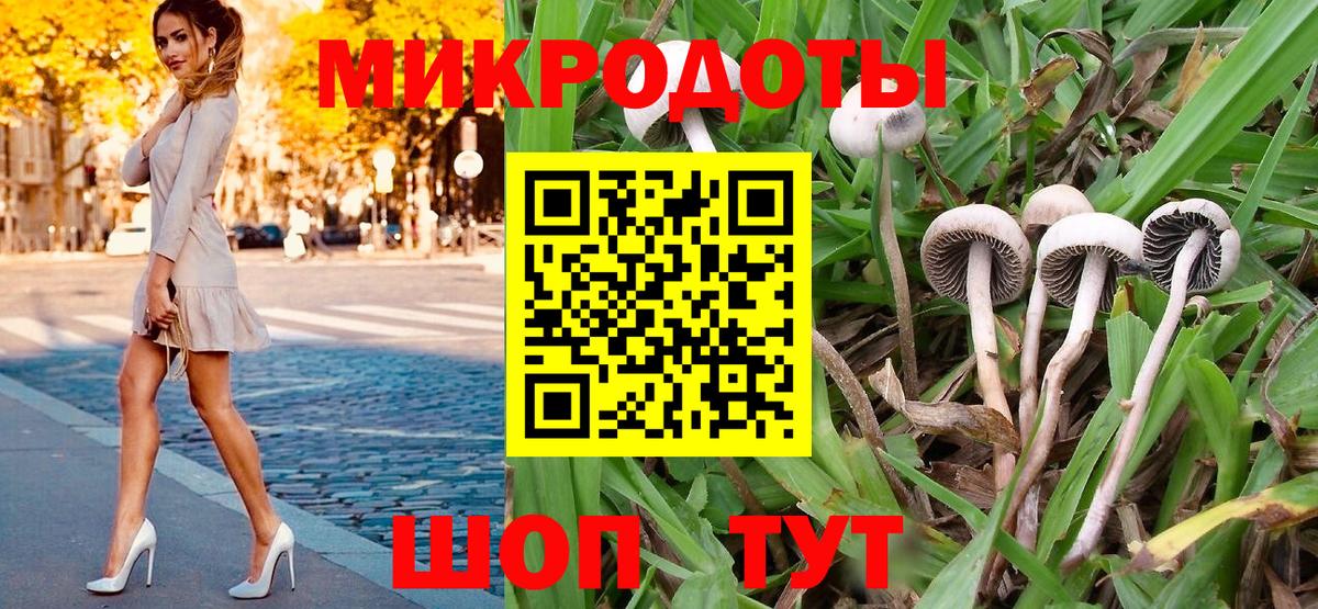 Галлюциногенные грибы мицелий Шали