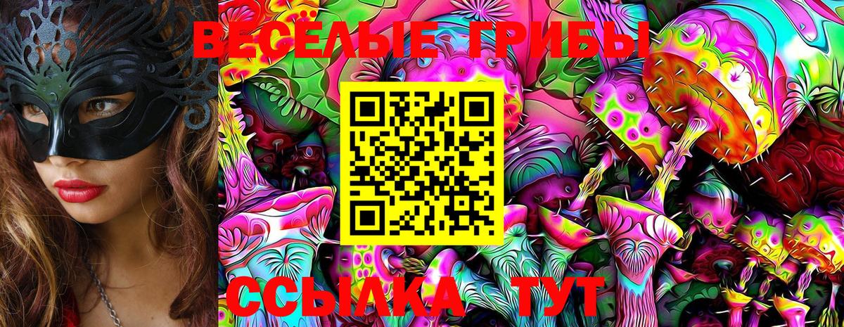 цена   Псилоцибиновые грибы Psilocybine cubensis  Вход с VPN  Галлюциногенные грибы Cubensis  Шали 