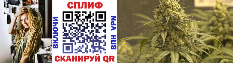 магазин продажи наркотиков  Шали  Канабис Amnesia 